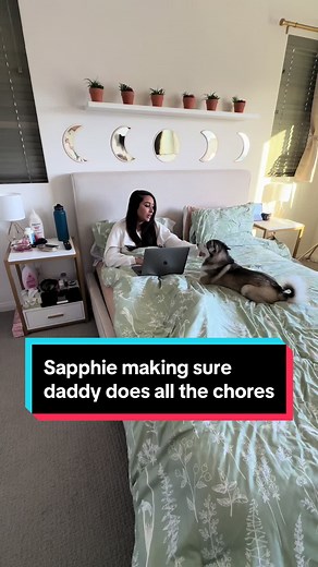 Sapphie Ensures Daddy Does Chores | Funny Dog POV