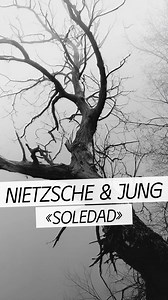 1.3M views · 54K reactions | Friedrich Nietzsche & Carl Gustav Jung  «Soledad» #literatura #citas #escritores #Nietzsche #carlgustavjung | Letrarium | Facebook