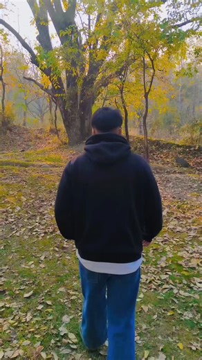 Bhat Sajad on Instagram: "i saw that you were perfect, and so I loved you." #trending #viralreels"