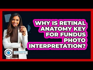 Why Is Retinal Anatomy Key For Fundus Photo Interpretation? - Optometry Knowledge Base