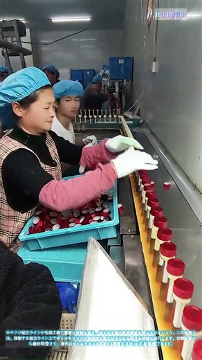 効率的なボトリングの世界：キャップ組立ラインの実働