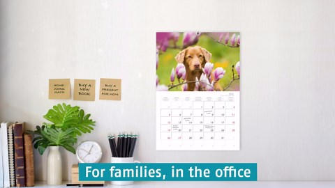 kitchen utensils (Monthly Wall Calendar 2026 11.7" x 16.5" (open)), CALVENDO 14 Month Calendar