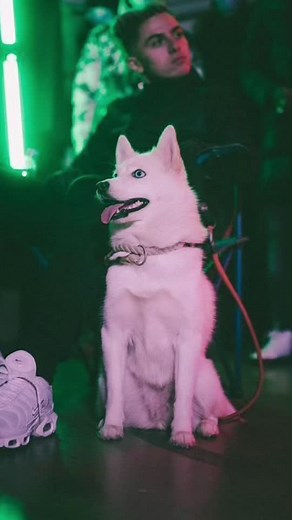 Vidéos de michou.fan.inoxtag (@michou.fan.inoxtag) avec son original - hannah :)