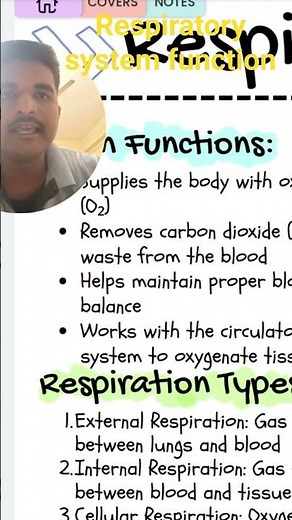 respiratory system function