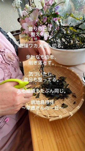 網地島移住〜幸恵さんの一日〜曇りの日は、整える日。乾燥ワカメを切る時間。削ぎ落とすほど、心も整っていく。#網地島 #ワカメ #手仕事 #整える #川村幸恵#ブレイントレイン東北 #発達支援コーチ