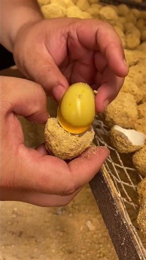 Taobao flash sale super saturday#food five spice soft boiled egg#henan food #five spice egg#112