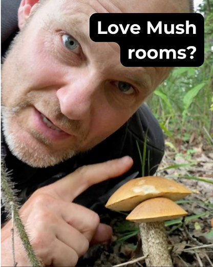 6.2K views · 15 reactions | It’s Mushroom Season And many people...