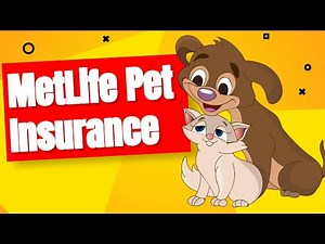 Unveiling the MetLife Pet Insurance Record 🐶: A Comprehensive Overview.🐶