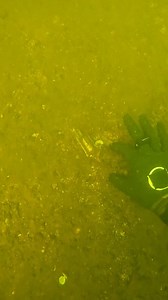 Found a gun underwater 😳 | D ALL MY D