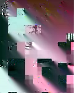 1.5M views · 6.4K reactions | Fraud, corruption, and murder: The story of the Murdaugh family revealed. | discovery+ | Facebook