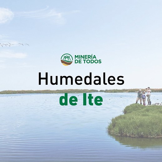 126K views · 53 reactions | ¡Los Humedales de Ite son una joya ambiental protegida! Este ecosistema desarrollado por la minería formal tiene una biodiversidad única y son los humedales más grandes del Perú. #MineríaDeTodos | Minería de Todos | Facebook