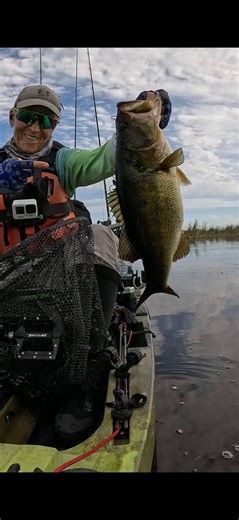 This fish came in HOT! #SouthFloridaBassFishing #Kayakfishing #LadyAngler #nativewatercraft #LargemouthBass #evergladesnationalpark— in Flamingo Bay, Florida. | Old Lady Angler
