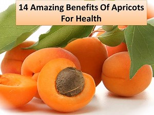 1.7K views · 24 reactions | 14 Apricot Health Benefits - apricot seeds cancer with Vitamin B17 | Cruzifix Lee | Facebook