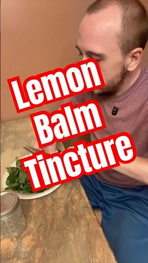 Lemon balm tincture