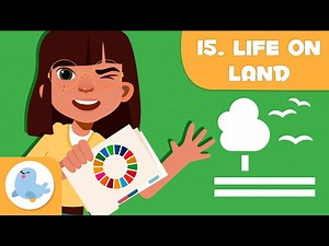 Life on Land 🌳 SDG 15 🐻 Sustainable Development Goals for Kids - Videos For Kids