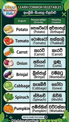 Learn Vegetables in Sinhala and English with Easy Pronunciation 🥕 #english #education