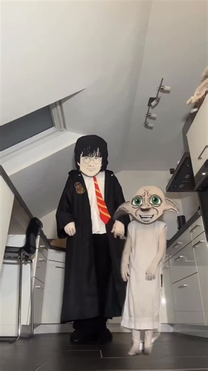 Dazumno on Instagram: "Dobby and Harry Mood #harrypotter #costume #dobby #diy #tiktok"