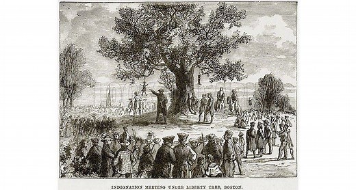 Liberty Tree - Alchetron, The Free Social Encyclopedia