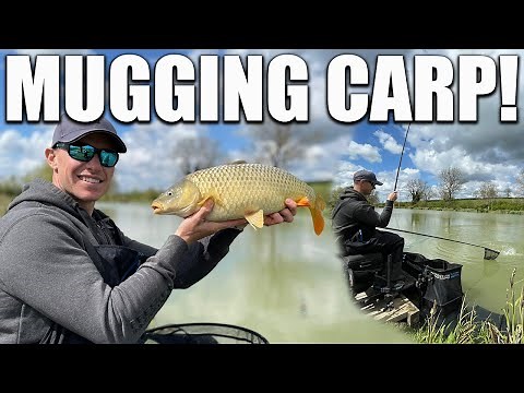 Mugging Carp! | A Short Session Catching CARP Without FEEDING!