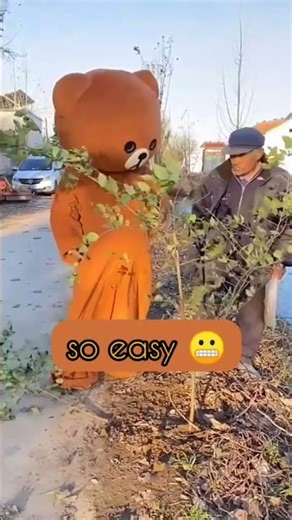 Why they don't hire me ?watch it again and laugh again#rippibear #trollbear #funnybear #funnycosplay