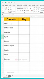 Countries Flag in Excel 🤯 . . . . . #exceltricks #msexcel #exceltips #excelformulas #exceltutorial | Excel.Solution