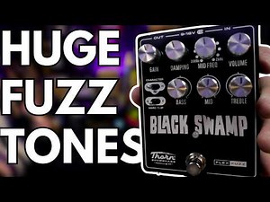 Is This the Most Underrated Fuzz of 2025?! Thorn Soundlabs Black Swamp