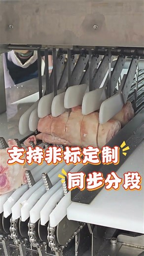九盈机械六段锯锯骨机连续猪蹄切块，适用猪蹄、鸡腿、排骨、冷冻肉等食材加工 Six-Blade Bone Saw Machine – Pig Foot Block Cutting