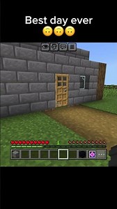 Best day ever🙃🙃🙃 #minecraft #fyp #bestdayever