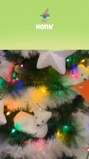 TeddyUnicornXoxo on TikTok