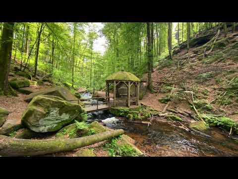 Autogenic Training: The Heaviness Exercise