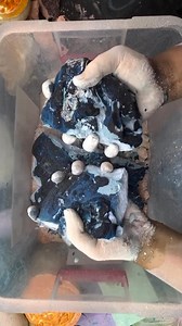 Bigggyyy 💙🩵💙🩵💙🩵💙🩵🩷🩵💙🩵💙 credit ( crushpleasureasmr) | Emy Mary