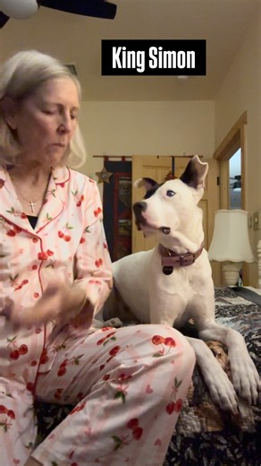 Julie Locke CPDT-KA on Instagram: "This is King Simon! I’ve had him for five years. He is brilliant, funny, and very vocal. And I do think that whenever you’re eating, the dogs should get the last bite. I have seven dogs, and I’m gonna introduce each and every one of them to you as we progressed to our lives and their training. I hope you will join me because they’re fabulous and we stand to be pretty funny! I hope you enjoy my Moby vocals! #pitmix #pajamas #dogtrainer #dogcoach # How do you lik