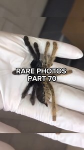 Rare Photos That Will AMAZE and INSPIRE You! | History Lab Archives