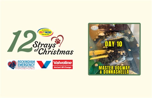 Day 10 – Master Oogway and Donnashella | 95.7FM WZID