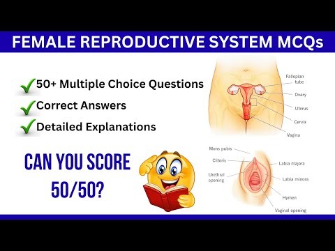 Female Reproductive System MCQs with Answers and Explanations