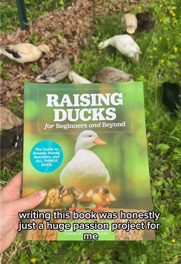 Raising Ducks for Beginners: Essential Tips and Insights