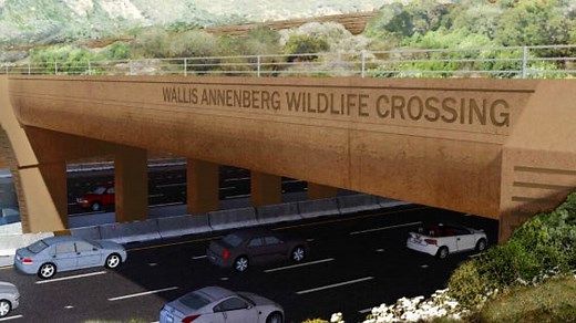 Historic $100 million California Highway 101 overpass for animal crossing is almost done