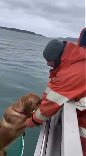 Dog Saved at Sea 🐶🌊 Dramatic Fishing Boat Rescue! 🙌 #DogRescue #OceanRescue