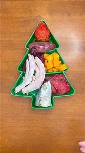 Rudy’s RAW Christmas dinner!🎄🍓🐟 #dogs #dogmom #dogfood #rawfeddog #dog #dogtreats #kibble #reels #christmas #christmasdinner | Kayla Kowalski Nutrition