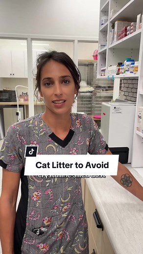 Best and Worst Cat Litters: Recommendations and Avoidance Tips