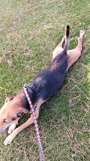 18 reactions · 3 comments | How do you catch a unique tater tot? You nique up on it! | Rick Johnson | Facebook