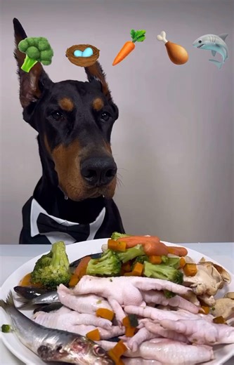 “Wild Bowl Energy 🐕🔥 | Fish, Chicken & Power Feast ASMR”#dogshorts