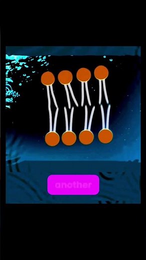 What Keeps Your Cells Alive - The Invisible Barrier (Edexcel IAL biology Unit 1)