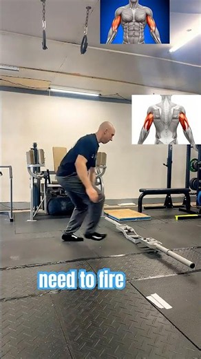 Time starved? Full body exercise workout in the gym will get you lean & strong in about 30 minutes