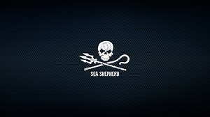 7.5K views · 431 reactions | Sea Shepherd ist eine internationale,...