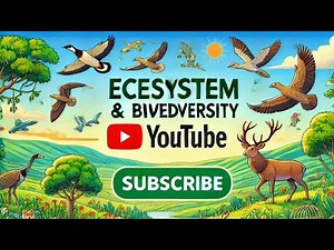 Ecosystem biodiversity explained in 2 minutes|biodiversity and it's types