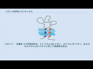 リガンド依存性イオンチャネル