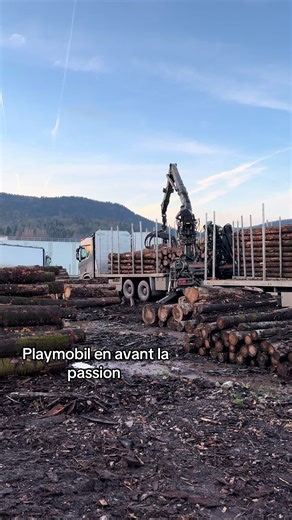 Exploring the Passion for Trucks in Playmobil
