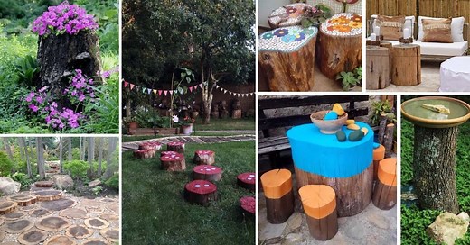 30 Impressive Tree Stump Ideas To Spruce Up Your Garden