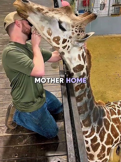 This Giraffe Saved His Life! #animals #usa